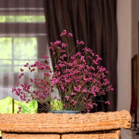 To Kallion Maison d'hôtes Klávsion