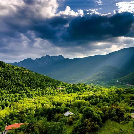 Πανσιόν To Kallion